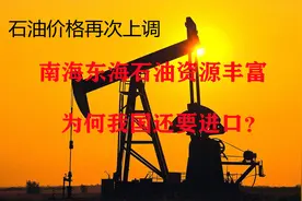 石油价格再次上调，南海东海石油资源丰富，为何我国还要进口？视频封面