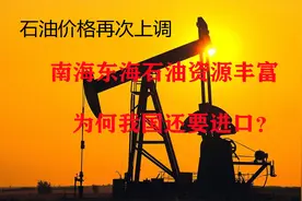 石油价格再次上调，南海东海石油资源丰富，为何我国还要进口？视频封面