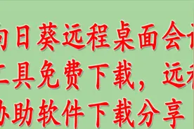 向日葵远程桌面会话工具免费下载，远程协助软件下载分享