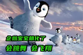 企鹅会飞吗？当然不会，企鹅宝宝要拜师学飞翔视频封面