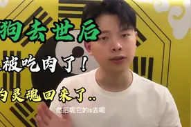 狗狗悲惨去世后，它的灵魂不甘心，回来这样对待主人...视频封面