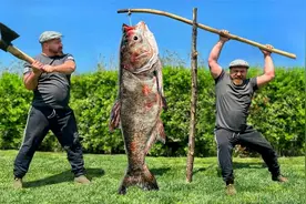 42斤的胖头鱼，见识一下外国人是怎么杀了吃的，真的是开眼界