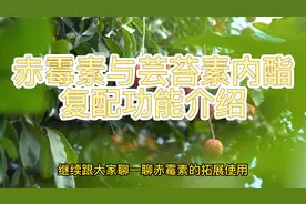 赤霉素与芸苔素内酯复配功能介绍