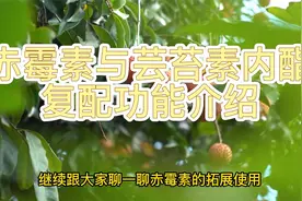 赤霉素与芸苔素内酯复配功能介绍