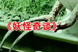 日本电影《妖怪奇谈》，妹子的指甲越长越长，最后用铁轨剪指甲