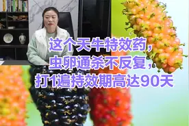 这个天牛特效药，虫卵通杀不反复，打1遍持效期高达90天视频封面