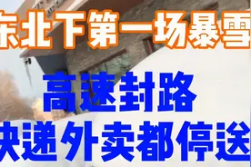 黑龙江入冬以来连续下了两天暴雪  航班停运 快递 外卖都停运了视频封面