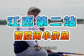 纯干货解决小杂鱼 饵料配比、钓法全都有 不知道我说明白没视频封面