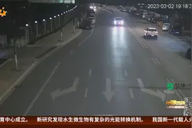 安装红蓝爆闪灯 罚款五百责令拆除视频封面