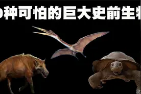 10种可怕巨大史前生物盘点，史前世界的生物真的是太让人震撼了！视频封面