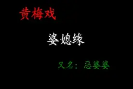 黄梅戏《婆媳缘》选段