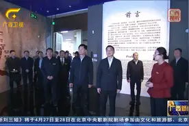 国家民委调研组到广西调研,刘宁、蓝天立会见潘岳视频封面