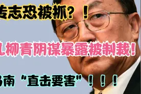 柳传志恐被抓？女儿柳青阴谋曝光被制裁！司马南“直击要害”！视频封面