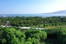 现代音疗:有些事情，要等到你渐渐清醒了，才明白它是个错误视频封面