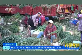 云南昆明：供货量减少，大葱价格一路上扬，一斤5元-6元|第一时间