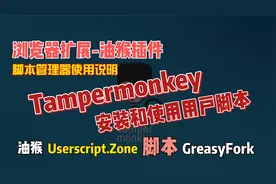 浏览器扩展油猴插件，脚本的安装与使用