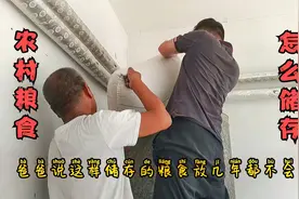 农村粮食是怎么储存的放几年都不会坏视频封面