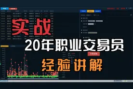 职业交易员在股市准确判断股票买卖点的秘密（上）视频封面