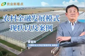 翟留栓：农村金融发展模式现状以及案例视频封面