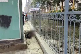 男子变电箱旁如厕不慎遭电击倒地 现场不断抽搐呻吟视频封面