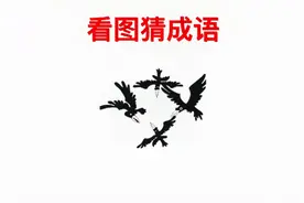 「趣味学成语」四只乌鸦盘旋飞在一起，要注意看它们的颜色哦！视频封面