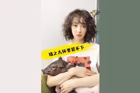 女星宋茜的宠物猪越长越大，网友：既然选择了它，哭着也要养大！