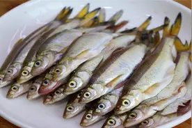 四川人这样烧野生河鱼，一次能吃10多条，鱼肉特别鲜美细嫩还下饭