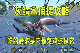 创造与魔法：灰鲭鲨捕捉攻略，超级容易捕捉！附位置图送鲨鱼心！