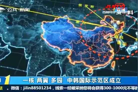 6月29日，中韩国际示范区成立，致力打造“一核、两翼、多园”视频封面