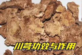 川芎功效与作用视频封面