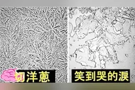 喜怒哀乐下的眼泪在显微镜下的样子，超美！视频封面