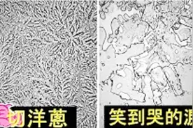 喜怒哀乐下的眼泪在显微镜下的样子，超美！视频封面