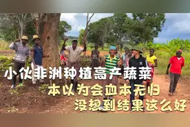 小伙在非洲种植高产蔬菜，本以为会血本无归，没想到长得这么好视频封面