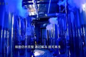 “人体冷冻”是怎么回事？这是人类最接近“永生”的时刻！