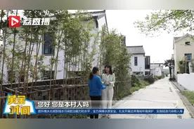 闲置宅基地被盘活！农房变民宿村民每年获分红视频封面