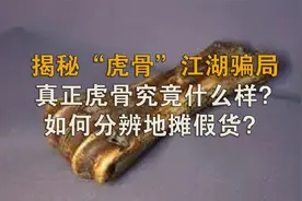 揭秘“虎骨”江湖骗局，真正虎骨究竟什么样？如何分辨地摊假货？视频封面