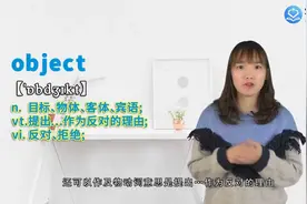 object是什么意思