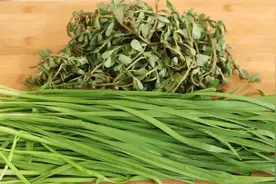 马齿苋很好吃的做法，加1把韭菜，鲜香入味，营养解馋，吃着真香视频封面