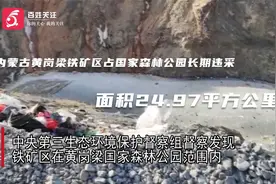 内蒙古黄岗梁铁矿区占国家森林公园长期违采 面积24.97平方公里视频封面