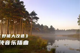 《野猪大改造》纯音乐插曲，极品风景视频素材视频封面