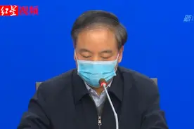 湖北省副省长：一线医卫人员每人发放6000元慰问补助视频封面