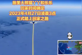 旅美大熊猫丫丫回国时间基本确定！就在4月27日凌晨3点正式启程！视频封面