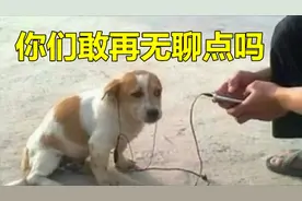 我和粉丝互发了三天狗头