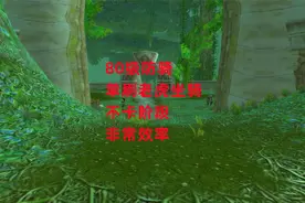 魔兽世界怀旧服：80级防骑单刷老虎坐骑，不卡阶段，非常效率视频封面