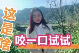 越南苗族人表达爱情和告白的方式.这是我们的风俗.中国有一样不视频封面