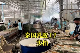 真实探访泰国乳胶工厂，乳胶原液是如何一步一步变成乳胶枕的？视频封面