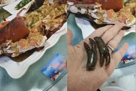 女子买龙虾去加工怕调包掰掉两条腿  上菜后腿“长”出来了