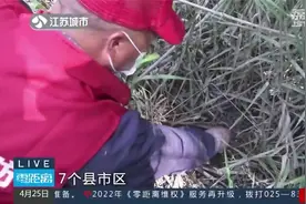 这种螺千万别吃！！江苏开展新一轮“灭螺行动”，严防血吸虫病视频封面
