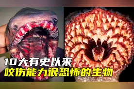 10大有史以来咬伤能力恐怖的生物，第一名是史上巨霸
