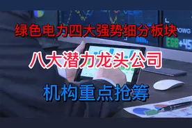 绿色电力迎来加速发展期，盘点四大细分板块，八大潜力龙头公司！视频封面